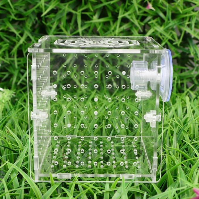 Acrylic Fish Breeding Tank with 2mm Round Hole Suction Cups 10x10x10cm Isolation Box for Aquarium Fish Hatchery and Fry Nursery
