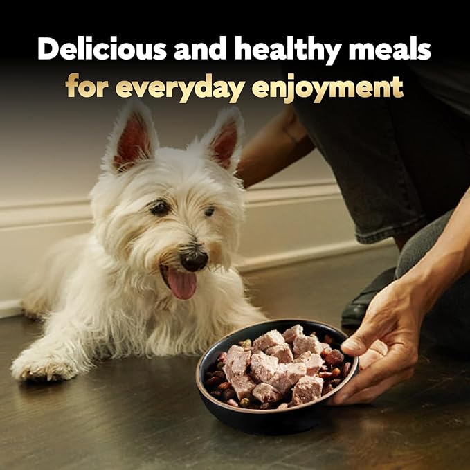 Cesar Classic Loaf in Sauce Adult Wet Dog Food Grilled Chicken Flavor, Wet Food for Dogs, 3.5 oz Easy Peel Trays, 24 Count (Pack of 2)