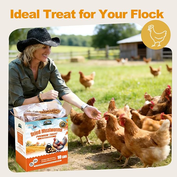 10LB Dried Mealworms, Non-GMO Meal Worms for Chickens & Birds, High Protein Chicken Feed, Natural Chicken Worms Ideal for Wild Birds, Reptile Tasty Bird Food