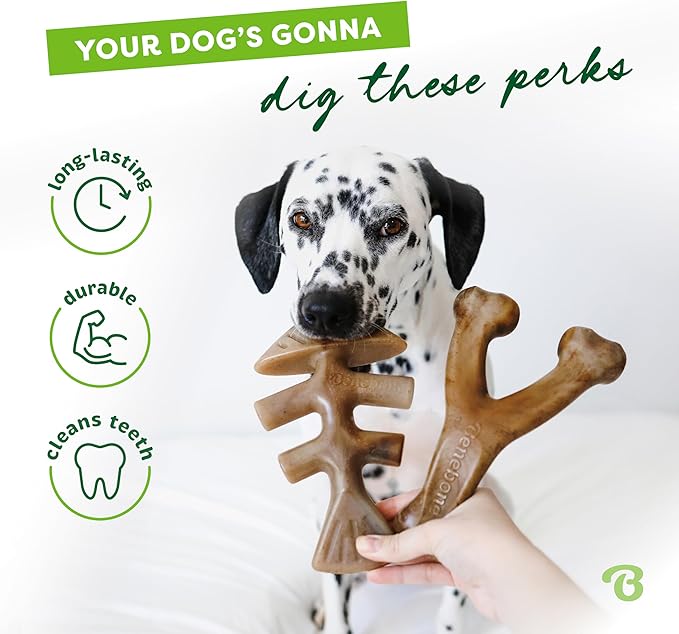 Benebone 2-pack Fishbone/Wishbone Durable Dog Chew Toys, Real Fish, Real Bacon, Made in USA, Medium