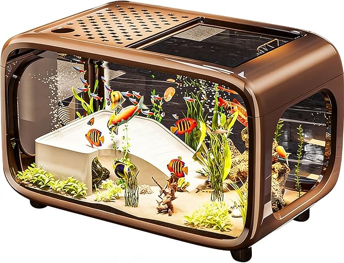 5 Gallon Fish Tank Kit with Air Pump, Climbing Frame, Fish Net, Food, Sea Salt, and Aquascaping for Betta, Small Fish, and Turtles - Ideal for Office and Home Decor