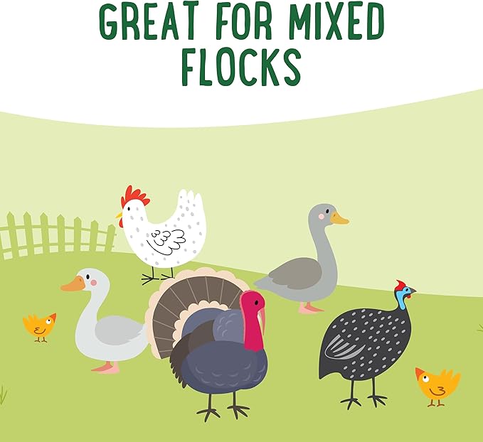 Manna Pro Farmhouse Favorites Feather Flair Poultry Treat, High Protein Chicken Treat with Methionine, Biotin & Thiamine, Supports Strong, Vibrant Feathers, for Chickens, Ducks, Turkeys & More, 2 lbs