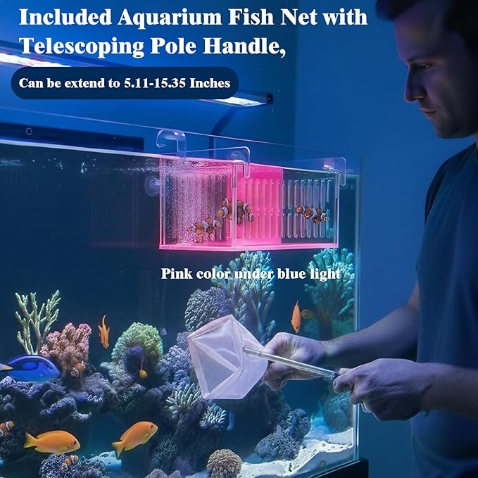 Acrylic Breeder Box for Fish Tank, Aquarium Isolation & Breeding Box with Extendable Long Handle Net for Baby Fish, Shrimp, Betta, Guppy - Acclimation Hatchery Incubator (Orange, 7.4x5.3x6.3 in)
