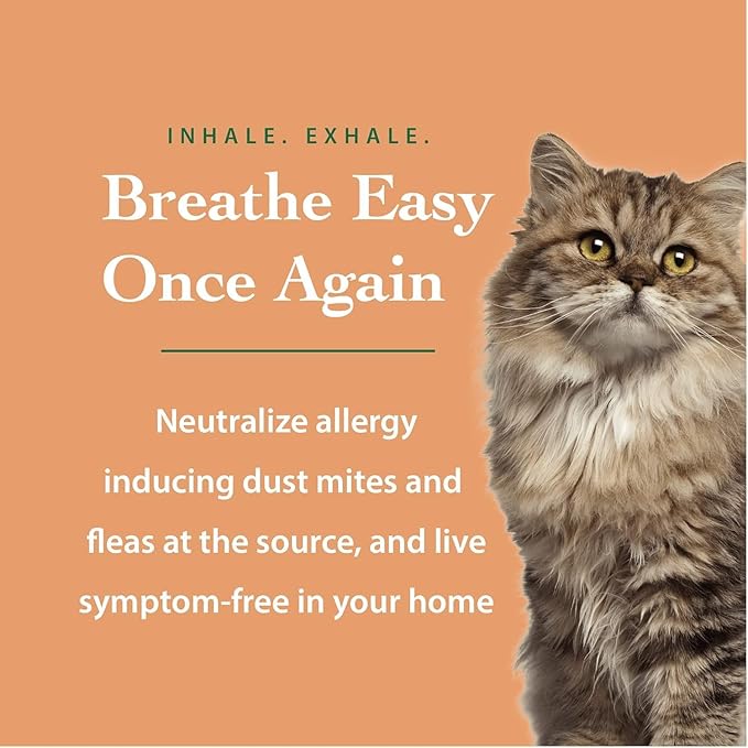 The Ecology Works DustmiteX Dust Mite Spray - Dust Mites Remover + Flea Killer for Allergy & Asthma Relief For Cleaning in Home, Bed, Pet Bedding, & Furniture, Anti Allergen Dust Mites Killer