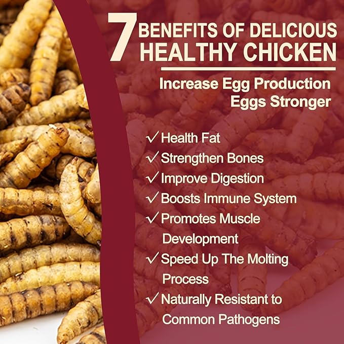 DE AVILA 2.5LB Dried Black Soldier Fly Larvae for Chickens Bulk, Non GMO 86X High Calcium Grubs Than Meal Worms for Laying Hens,100% Natural BSF Larvae for Chicken Wild Bird Treats