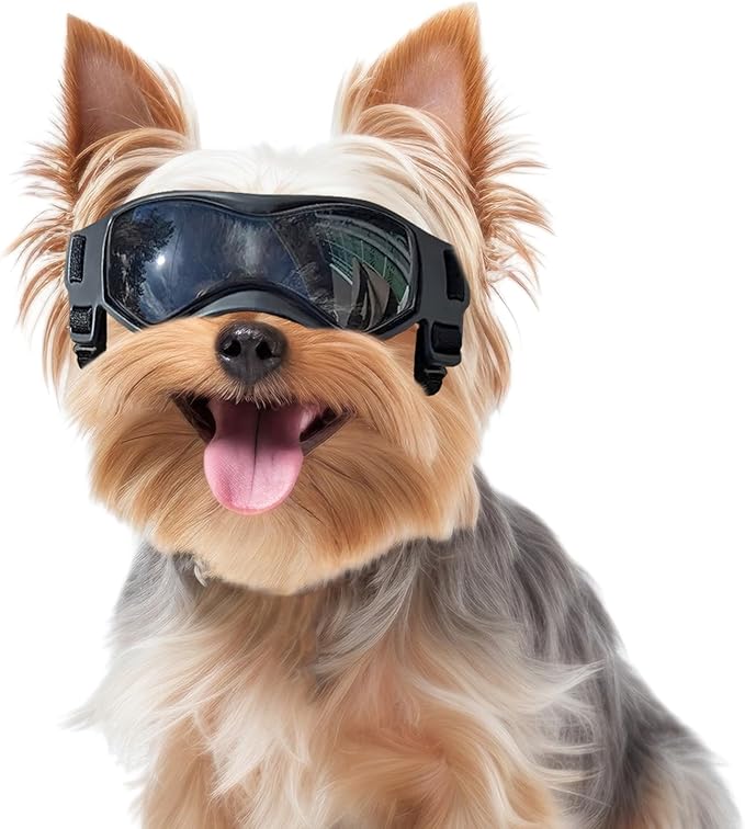 Dog Goggles Small Breed, Dog Sunglasses Small Breed Dog Eye Sun Light Protection, UV Protection Goggles for Dog with Adjustable Straps, Small Black