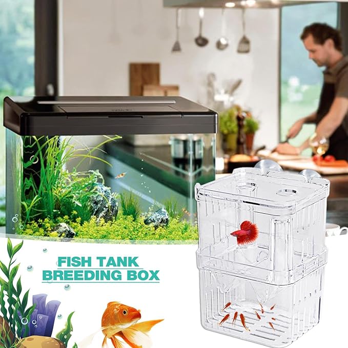 1/2 Fish Breeding Box - Aquarium Breeder Box, Fish Acclimation Box with 2 Suction Cups | Easily Install Fish Isolation Box, Acrylic Aquarium Hatchery Incubator for Baby Fishes Shrimp Betta Guppy