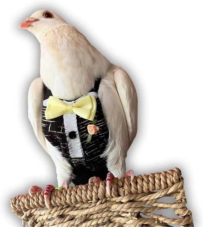 Bev's Bird Boutique Regular Flyper Adjustable Bird Diaper | Reusable, Washable Cloth | Comfort Fit for Parrot, Cockatiels, & Other Small Birds | Fashionable Avian Accessories, Tuxedo, Size 16