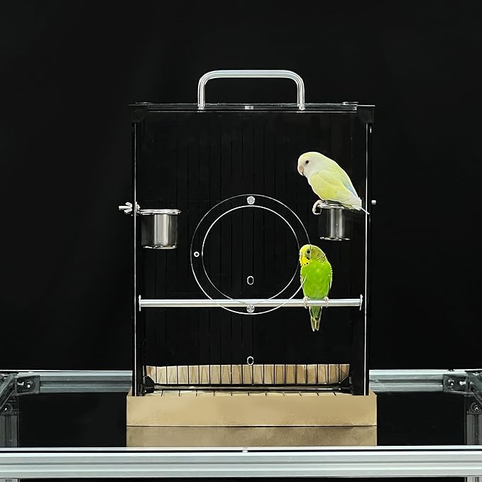GuineaLoft™ Acrylic-Front Bird Cage (Model-E3) w/Accessories Incl. – Small Bird Cage 1x1x1.33 ft, Crystal-Clear Front View, Spacious Modern Design – Visit The GuineaLoft Store to See More