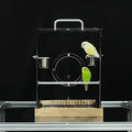 GuineaLoft™ Acrylic-Front Bird Cage (Model-E3) w/Accessories Incl. – Small Bird Cage 1x1x1.33 ft, Crystal-Clear Front View, Spacious Modern Design – Visit The GuineaLoft Store to See More