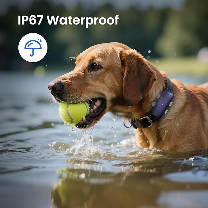 SEEWORLD Cat Tracker Mini GPS Pet Tracker for Dogs Cats Waterproof Real-Time Location Tracker Virtual Fence 180 Days Location History 4G Cat Tracker Device for 6.5lbs+ Pets