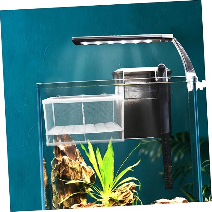 GANAZONO 2pcs Fish Hatchery Boxes Isolated Breeding Tank Large Capacity Suction Cup Design Easy Installation Random Style