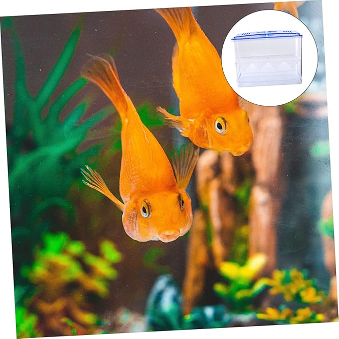 FRCOLOR 1pc Small Fish Hatching Isolation Box Freestanding Self-Floating Breeding Tank for Betta and Shrimp Easy to Clean Safe for
