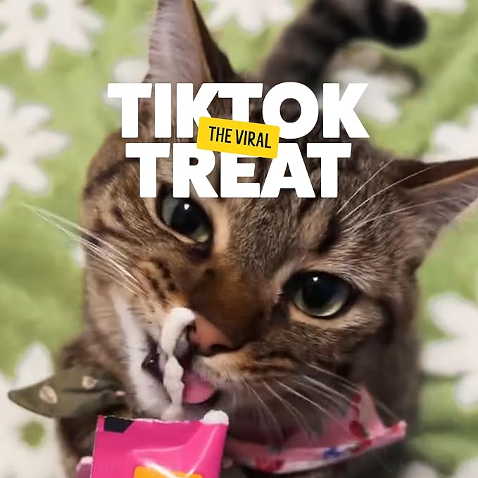 Bonkers Licky Tubes, Wet Lickable Tube Tasty Tuna Cat Treats, Real Meat Treat for Training or Food Topper for All Breeds and Ages (15 Pack, 60 Tubes) - Product Package May Vary
