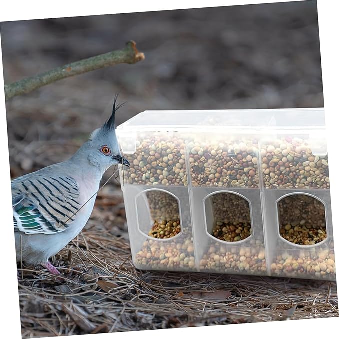 Mipcase 2pcs Bird Feeding Watering Supplies Pigeon Feeder Hanging Bird Feeder Sift Bowl Easy to Use and Install for Backyard Birding