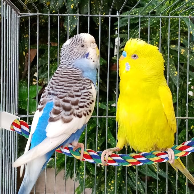 Colorful Bird Rope Perch Stand, Birdcage Swing Spiral Toys, Bird Climbing Standing Bungee Rope Perches Chew Toys Cage Accessories for Cockatiels Parrots Birds (15.7 inch /40 cm)