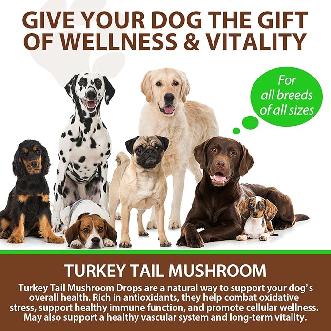 Immune Mushroom Drops for Dogs, Natural Dog Mushroom Liquid Drop with Turkey Tail Mushroom Extract Support Immune Booster, Digestive & Joint Mobility, Liquid Mushroom Supplement - 2 fl oz / 60ml