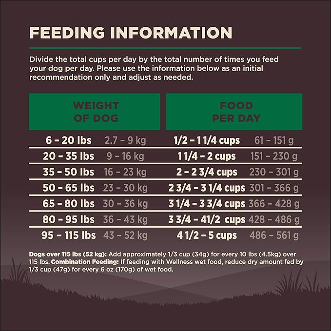 Wellness CORE Adult Dry Dog Food, Grain Free Kibble, Natural, High Protein, Lamb Recipe, 22 lb Bag
