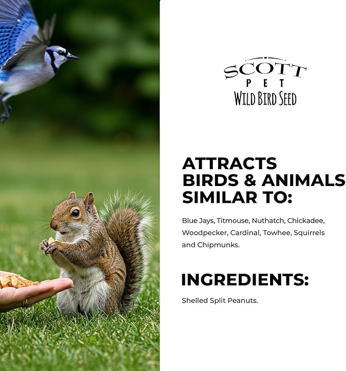 Scott Pet Wild Bird Seed, Peanuts Split (No Shell), 8 lbs Bag, Great Source of Protein and Fiber, Peanuts for Outside Wild Birds