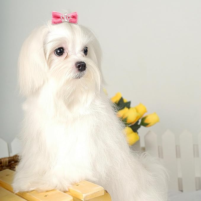 100pcs Assorted Dog Hair Bows,Cute Solid Color Dog Bows for Girl Small Medium Size Dogs,Handmade Puppy Bowknot with Rhinestone Crown Designer and Mix Shapes, Pet Hair Grooming Accessories