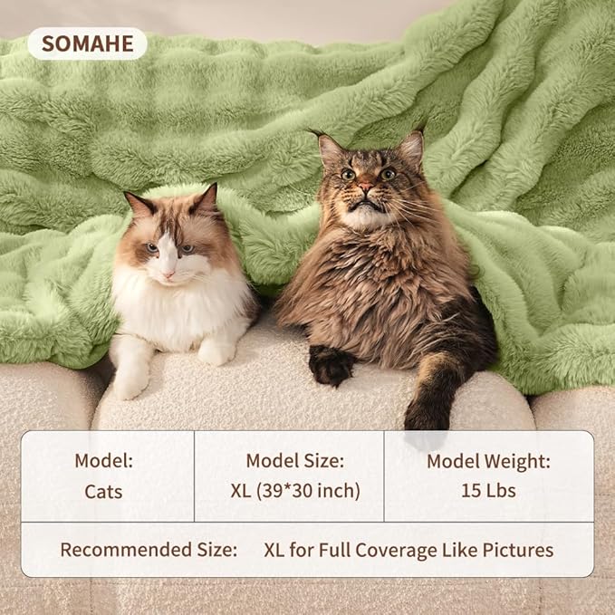 Self-Warming Cat Blanket for Indoor Cats & Small Dogs, Dual-Side Sherpa Plush Throw, Anti-Static Shared Couch Mat for Crate & Travel, Machine Washable No Shrink, 28x22 Inch Green