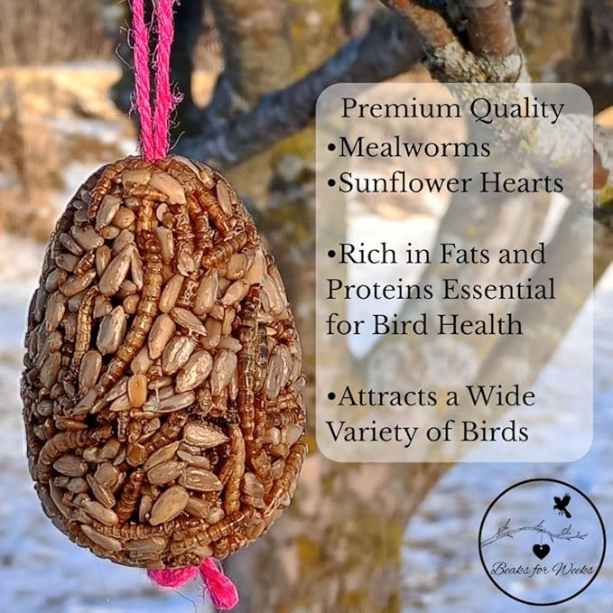 Birdseed Ornaments for Outside - Set of 3 for Wild Birds - Premium Quality - Wild Bird Treats - Egg-Shaped Hanging Birdseed Ornaments