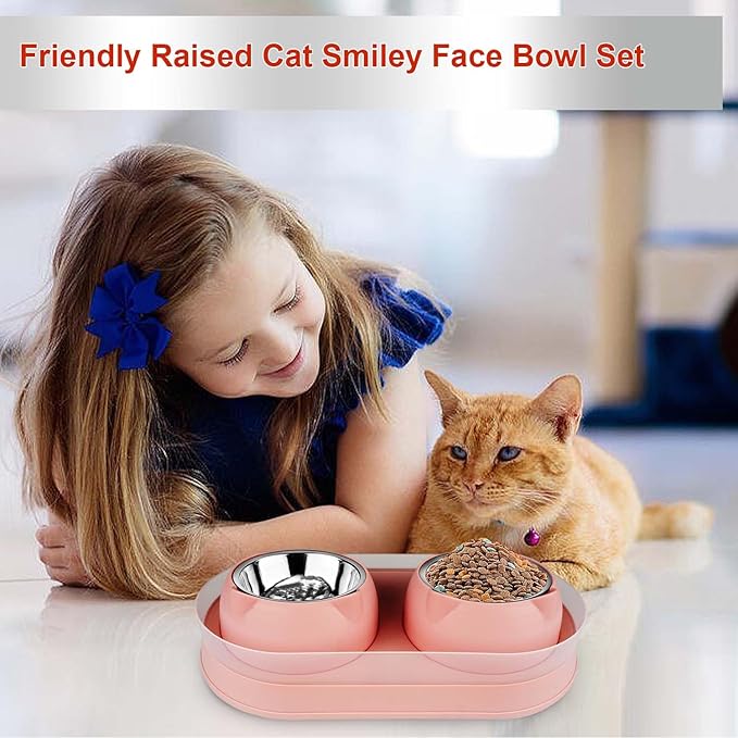 Elevated Cat Food Bowls, Raised Cat Bowl with Stand Stainless Steel, Tilted Bowls Anti Vomiting, Double Cats Food and Water Bowl Set for Cats (Pink)