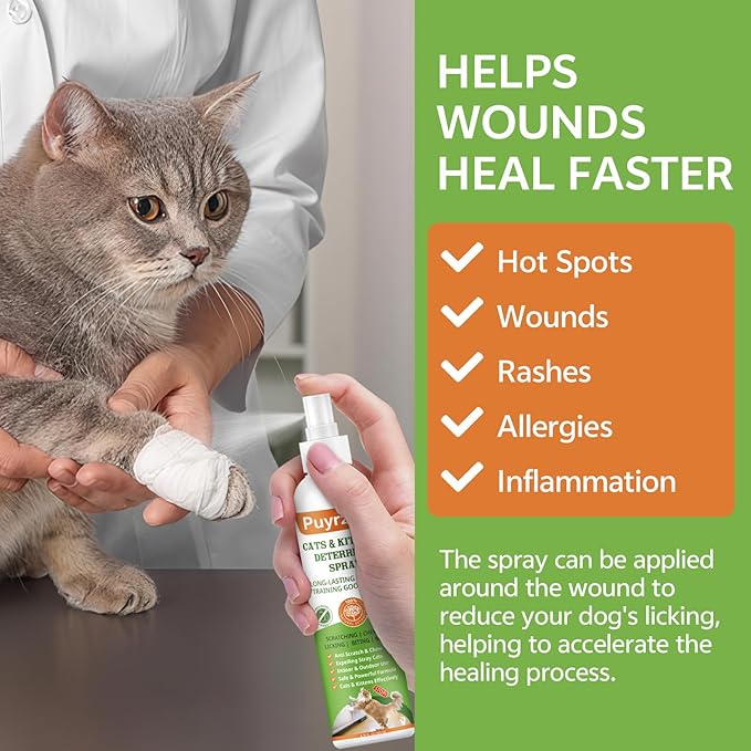 Natural Cat Deterrent Spray, 200ML Kitten Cat Repellent Spray Anti-Scratch for Furniture, Sofas, Curtains, Plants, Non-Toxic, Non-Alcohol Behavior Training Aid for Indoor & Outdoor