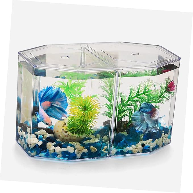 Professional Transparent Fish Breeding Tank Double Space Incubation Box for Fish Easy to Use for Fry and Aggressive Aquarium Supply