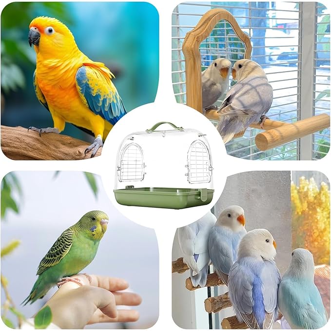 Bird Carrier Backpack, Portable Transparent Pet Bag, Breathable Travel Carrier with Removable Perch, Cockatiel Conure Parakeet Transport Cage for Outdoor Trips, Small Bird Travel Accessories