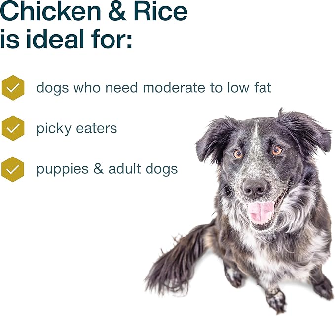 JustFoodForDogs Pantry Fresh Wet Dog Food, Complete Meal or Dog Food Topper, Chicken & White Rice Human Grade Dog Food Recipe - 12.5 oz (Pack of 24)
