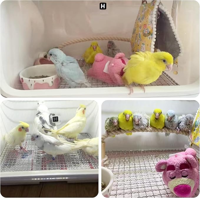 Small Full Featured Brooder/Portable Intensive Care Unit for Warming Parrot or Sick and Injured Birds,Baby Bird Incubator,Parrot Cage with Heating,Comes with Car Power Cord
