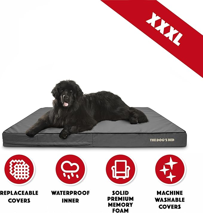 The Dog’s Bed Orthopedic Memory Foam Dog Bed Mattress, Oxford Fabric, Grey with Black Trim, XXXL, 6-Inch