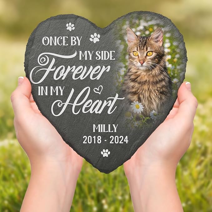 DOPTIKA Custom Photo You Would Have Lived Forever Personalized Photo Cat Memorial Gifts for Loss of Cat, Cemetery Decorations for Grave, Cat Sympathy Gifts, Cat Garden Decor, Pet Memorial for Cats