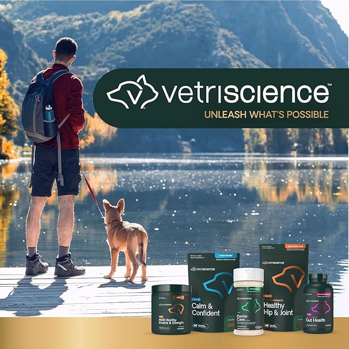 VetriScience Healthy Mouth Dog Dental Powder, 2 Pack – Helps Reduce Plaque & Tartar Buildup, Support Clean Teeth & Fresh Breath, Vet-Formulated Oral Care Powder for Dogs & Cats, 2 x 4.2 oz