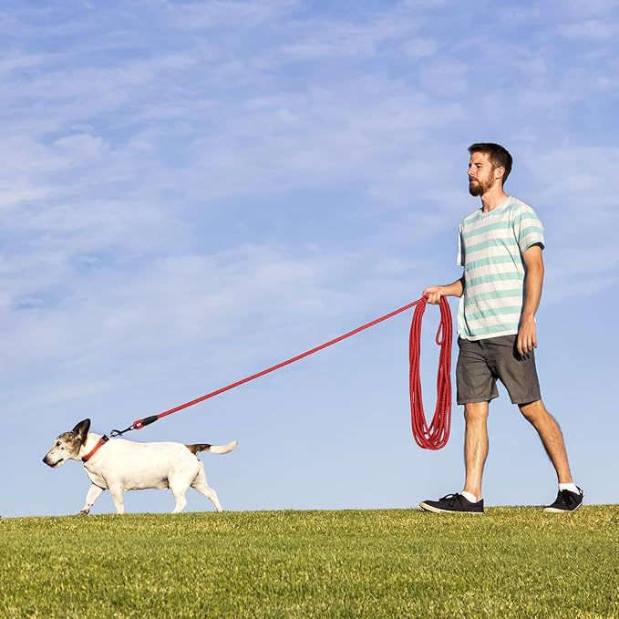 Long Dog Leash for Training 50Ft-Reflective Nylon Rope with Swivel Hook-Recall Agility Lead for Large Small Medium Dogs Outside Walking Hiking-Red Diam 1/2"