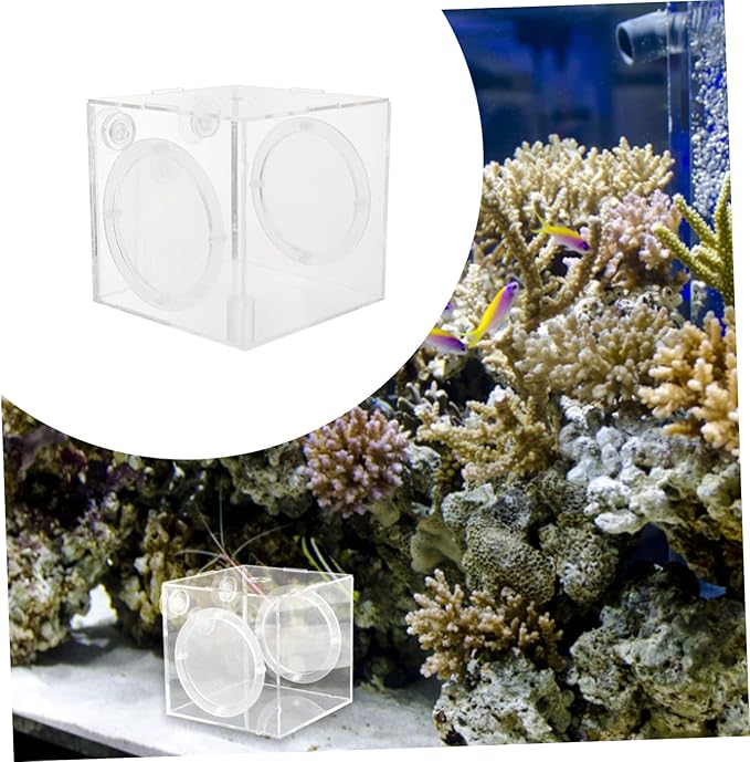 Happyyami Fish Isolation Box Design Incubator for Guppy Breeding Aquarium Tank Separator Cups for Easy Installation and Observation of Fish Fry Hatching