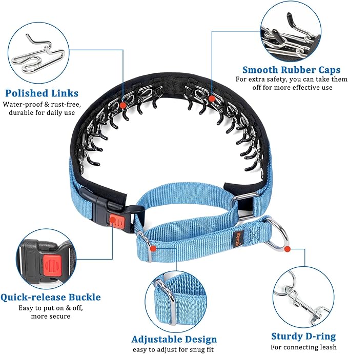 Mayerzon No Pull Dog Collar, Patented Martingale Collar for Small Medium Large Dogs with Buckle and Heavy Duty Nylon for Walking Training Hunting, Safe and Easy to Use(S, Blue)