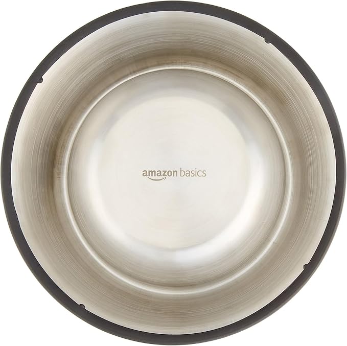 Amazon Basics Stainless Steel Non-Skid Pet Dog Water And Food Bowl, 2-Pack (10 x 2.8 Inches), Each Holds Up to 38oz