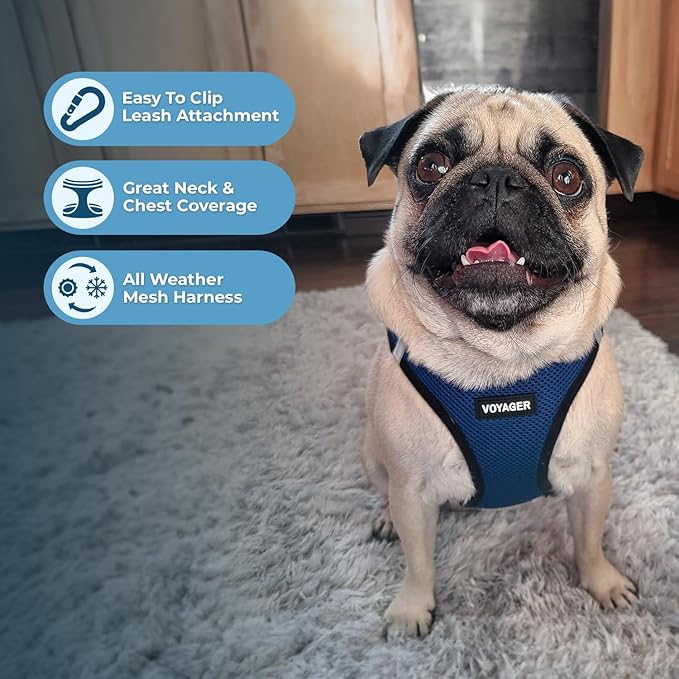 Best Pet Supplies Voyager Step-in Air Harness - All Weather Mesh, Reflective, No Pull Harness for Dogs, Cats - Secure with Hook & Loop Fastener, Buckle, Double D-Rings - Blue/Black Trim, XXS