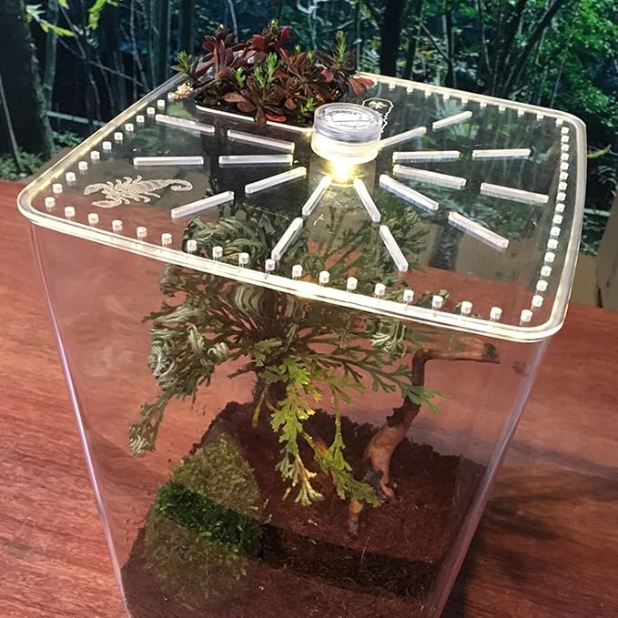 Reptile Terrarium Aquarium Breeding Tank, Transparent Acrylic Breeding Box Creative Desktop Reptile Box Spider Scorpion Pet Hatching Breeding Box Habitat Terrariums Habitat Box with LED Night Light
