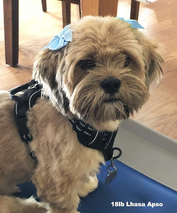 HipGirl Puppy Dog Hair Bows-8ct 3" Small Dog Hair Clips for Grooming,Alligator Clip Styling Accessories for Medium,Small Breeds(Yorkie,Shih Tzu,Maltese)-Multicolor Puppy Bow Set for Daily Wear&Photos