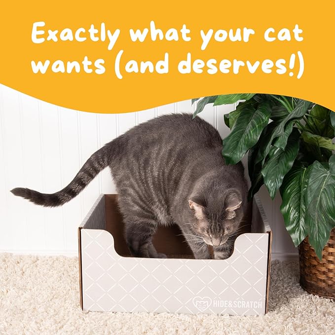 Hide & Scratch Cardboard Cat Scratcher Box & Bed - Light Grey Diamond | Double-Sided Corrugated Pad for Indoor Cats | Refillable Scratching Board Toy for Play & Furniture Protection