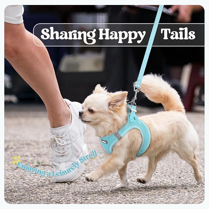 rabbitgoo Dog Harness Small Sized and Leash Set, Step in Soft Light Puppy Vest, Breathable Mesh Pet Harness, Reflective for Safe Easy Walking, Mint Blue M