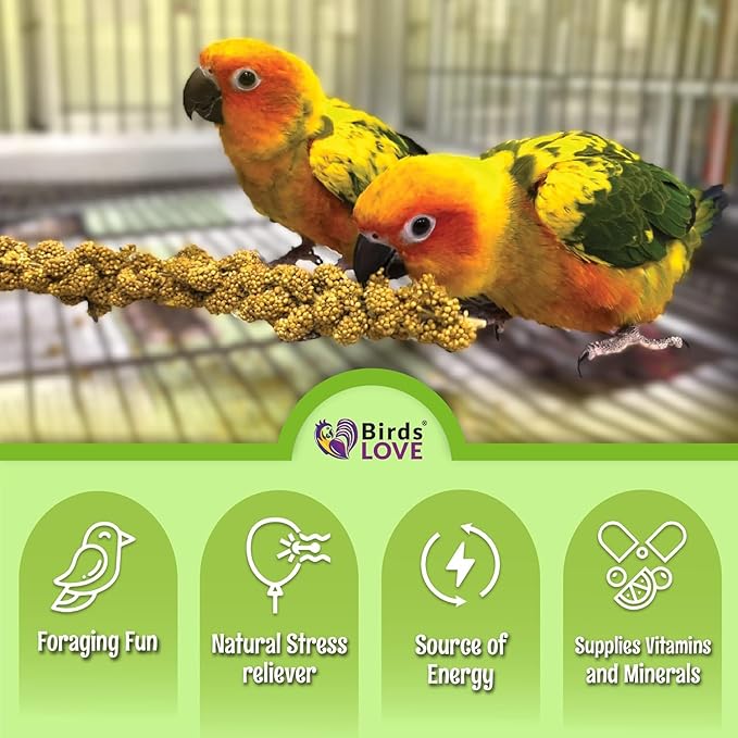 Birds LOVE 1lb French Kissed Spray Millet for Birds – Harvested in France & Packed in The USA – 100% Natural & Sun‑Dried Millet Spray for Parakeets, Cockatiels, Conures, Parrots & Budgies
