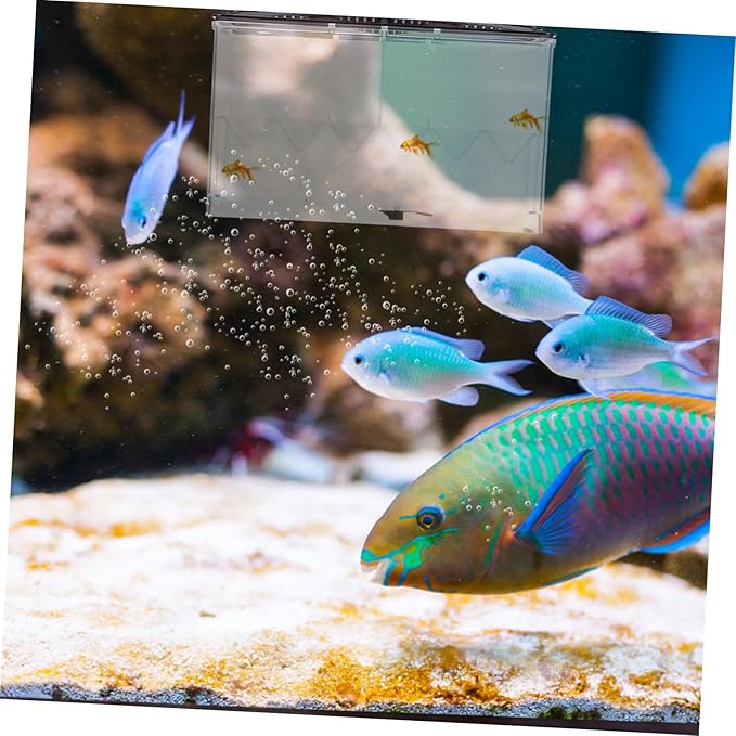 Fish Tank Breeding Box Acrylic Isolation Box Easy Clean Incubation Accessory
