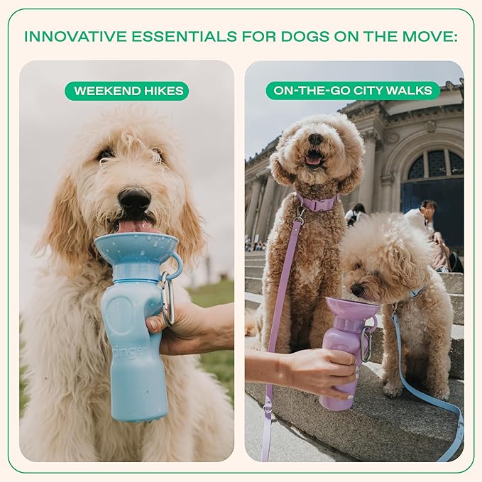 Springer Dog Water Bottle | Portable Travel Water Bottle Dispenser For Dogs - As Seen on Shark Tank | Patented, Leak-Proof Bottles Fill Bowl With Water - Ideal for Walking | BPA-Free 22oz Blue