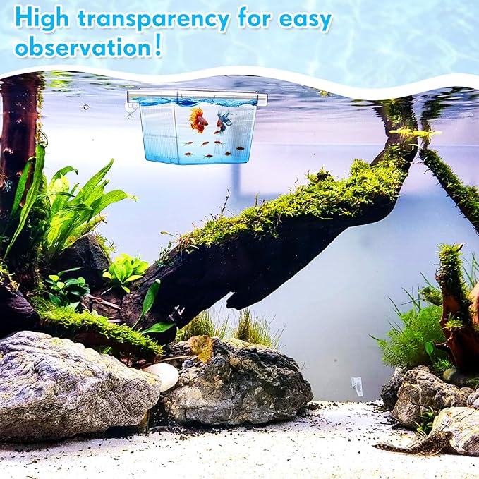 Wenqik Fish Breeder Box for Aquarium Fish Acclimation, Breeding, Hatchery Incubator Isolation Box for Shrimp Betta Guppy Cicilids Eggs(Small)