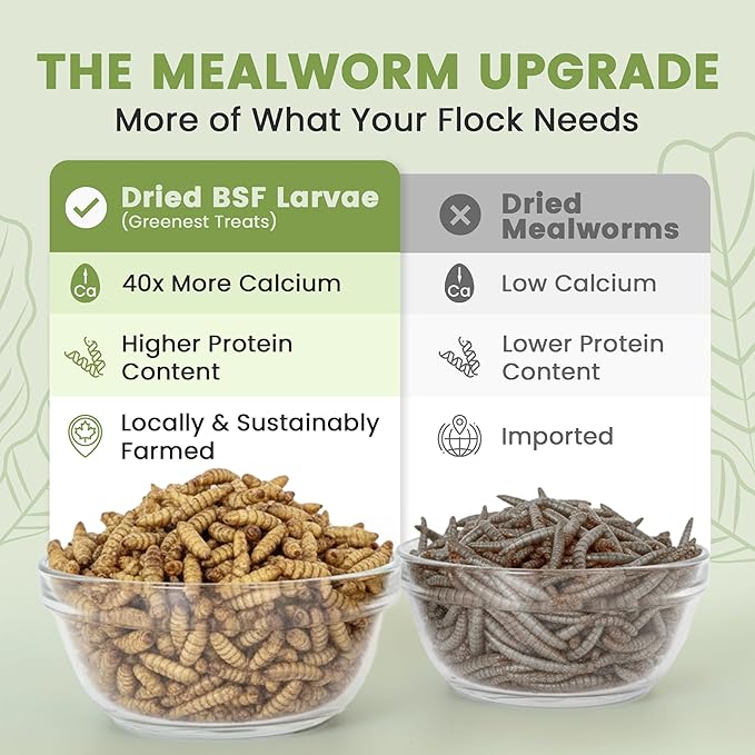 Black Soldier Fly Larvae for Chickens & Ducks – 11lb Dried Worms & Grubs – High Protein & Calcium Mealworms Alternative | Dried Black Fly Larvae for Chickens Bulk – Non-GMO, Farmed in North America