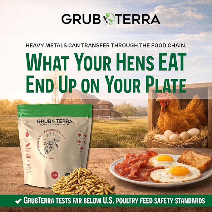 GrubTerra Black Soldier Fly Larvae for Chickens – Dried BSFL Poultry Treat, High Protein Calcium Feed Supplement for Laying Hens, Backyard Chickens, Sourced from Mexico, Not from China - 2LB